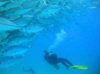 Experiencia de buceo